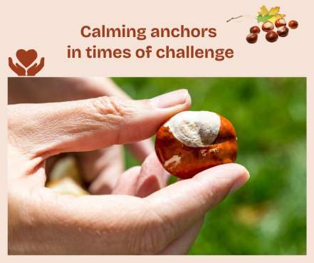 Calming Anchors in Times of Challenge – BodyIntelligence