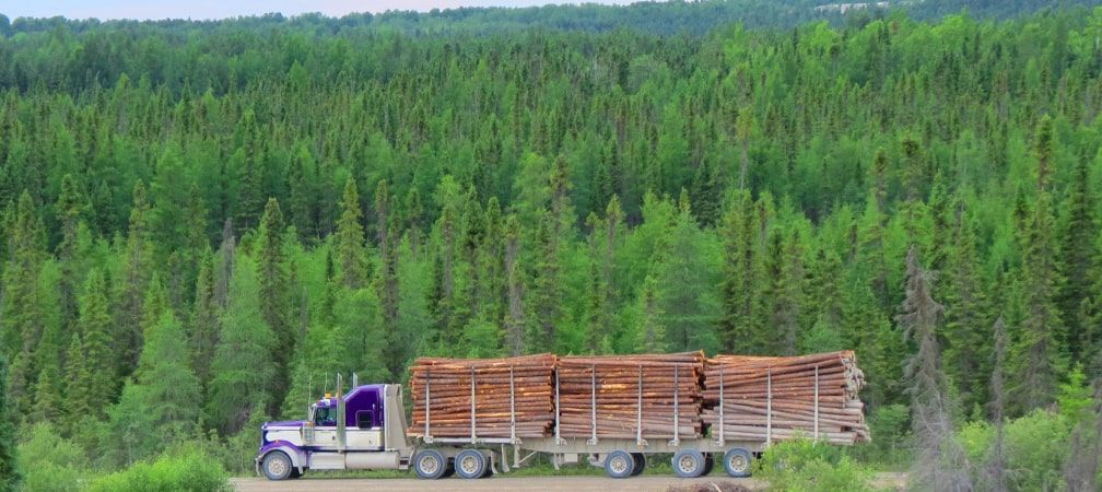 Logging truck hauling logs with forest in the background
