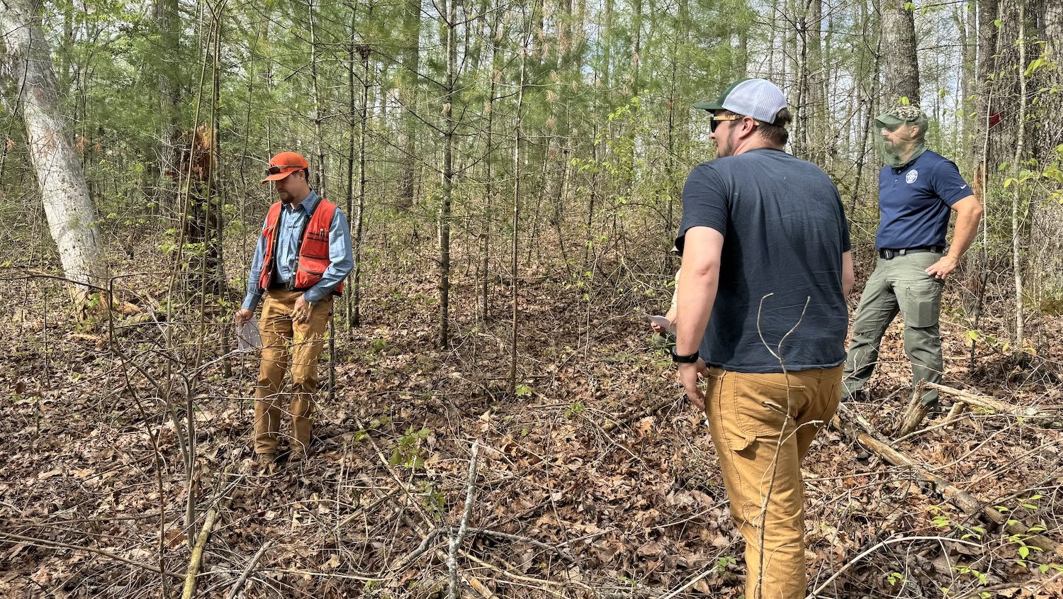Three men standing in a forest.