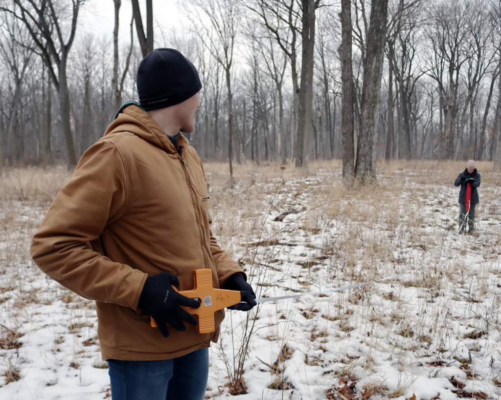 Dan measures a 17.8-meter radius for a sample plot. Photo © Lake County Forest Preserves.