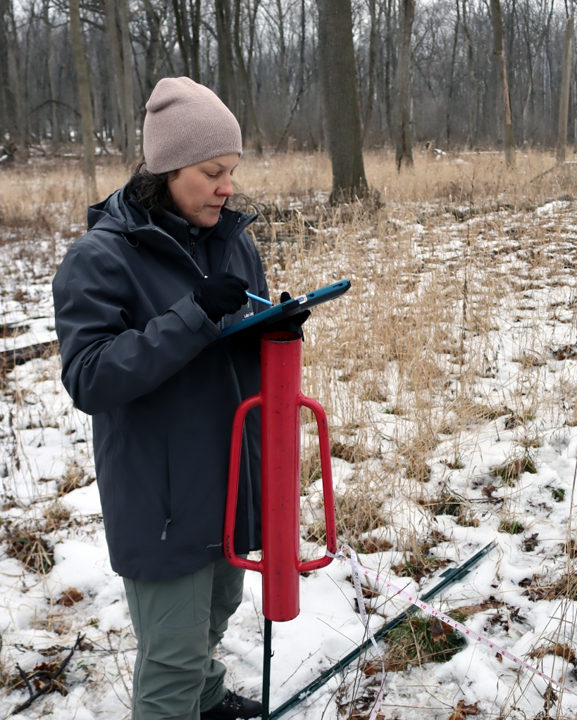 The author records tree and shrub data, and compass coordinates, on an iPad. Photo © Lake County Forest Preserves.