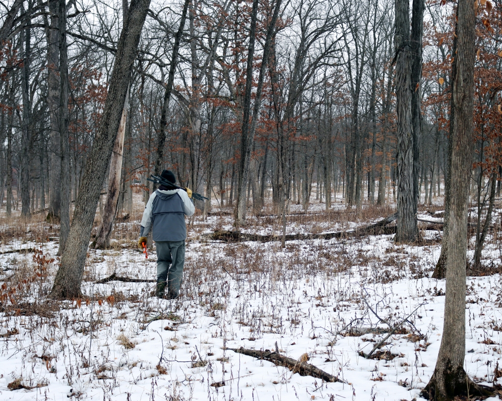 Ken heads to the next sample plot area. Photo © Lake County Forest Preserves.