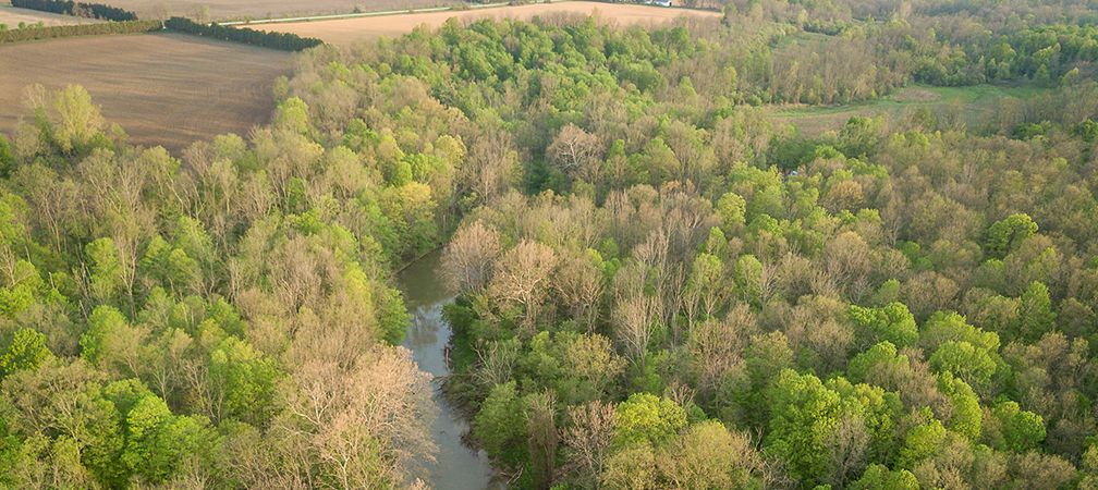 Budget 2025 Puts Ontario’s Nature at Risk: Here’s Why.