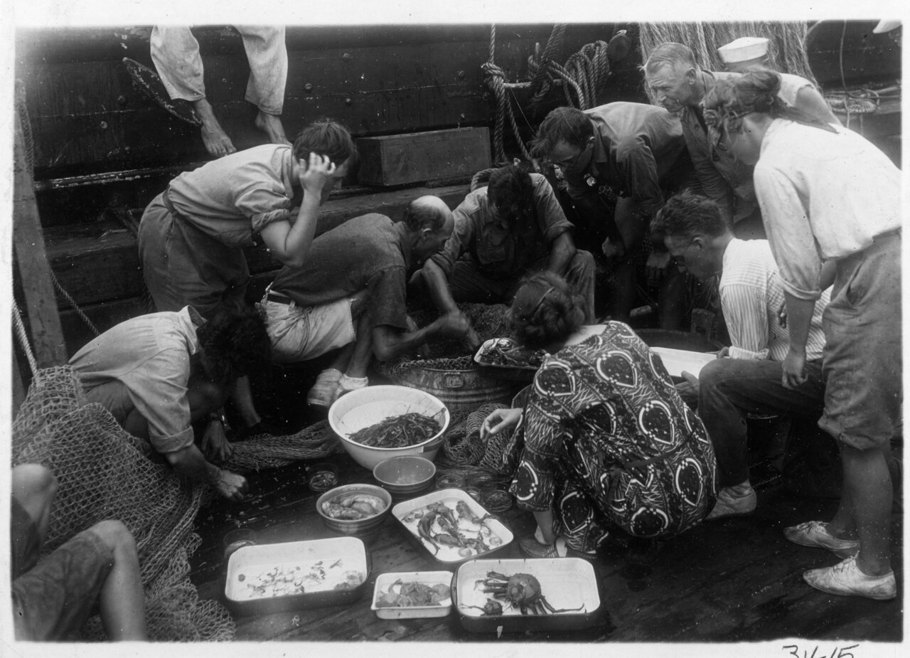 Charting New Waters: The Scientific Legacy of the Women of the Arcturus Expedition | Blog | Nature Charting New Waters: The Scientific Legacy of the Women of the Arcturus Expedition | Blog | Nature