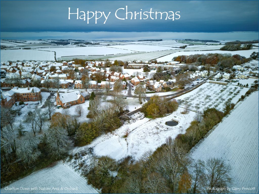HAPPY CHRISTMAS – Jessica’s Nature Blog