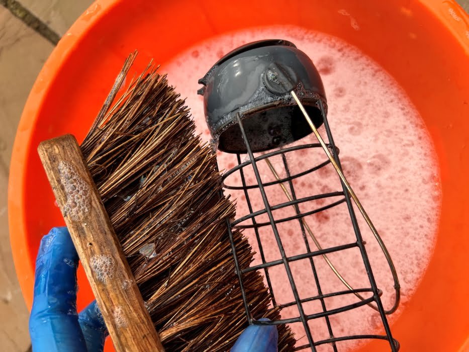 January Garden Maintenance – Wild Garden Expert