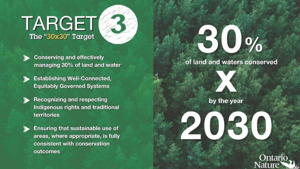 Local Contributions of Protected Areas Support National 30×30 Target