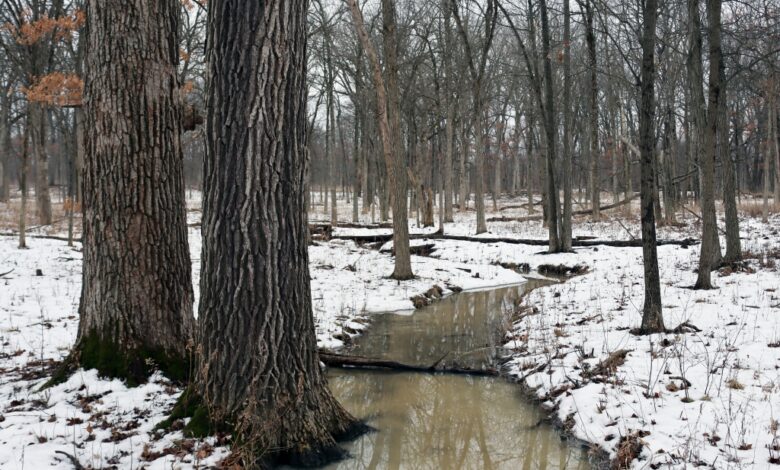 Monitoring for the future | Lake County Nature