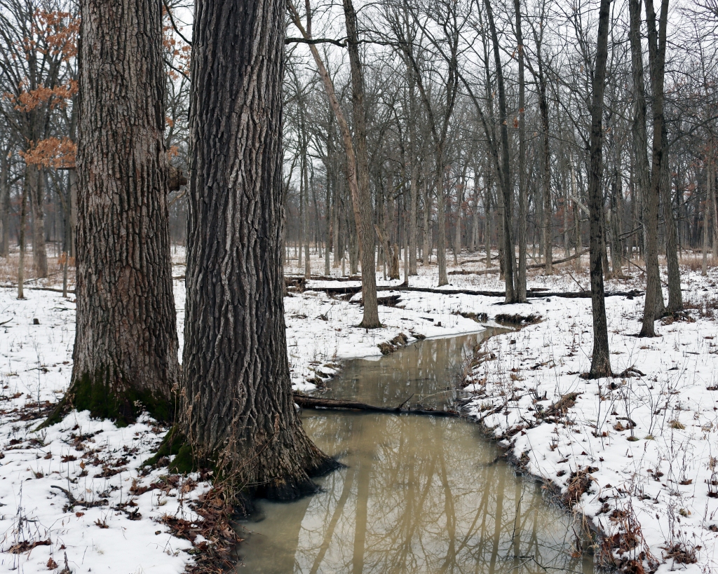 Monitoring for the future | Lake County Nature