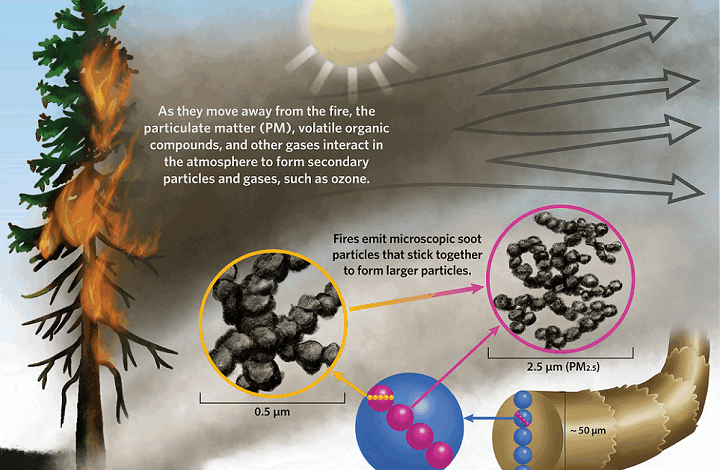 The Hidden Dangers of Wildfire Smoke – How does wildfire smoke affect us all?