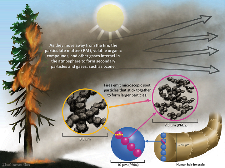 The Hidden Dangers of Wildfire Smoke – How does wildfire smoke affect us all? The Hidden Dangers of Wildfire Smoke – How does wildfire smoke affect us all?