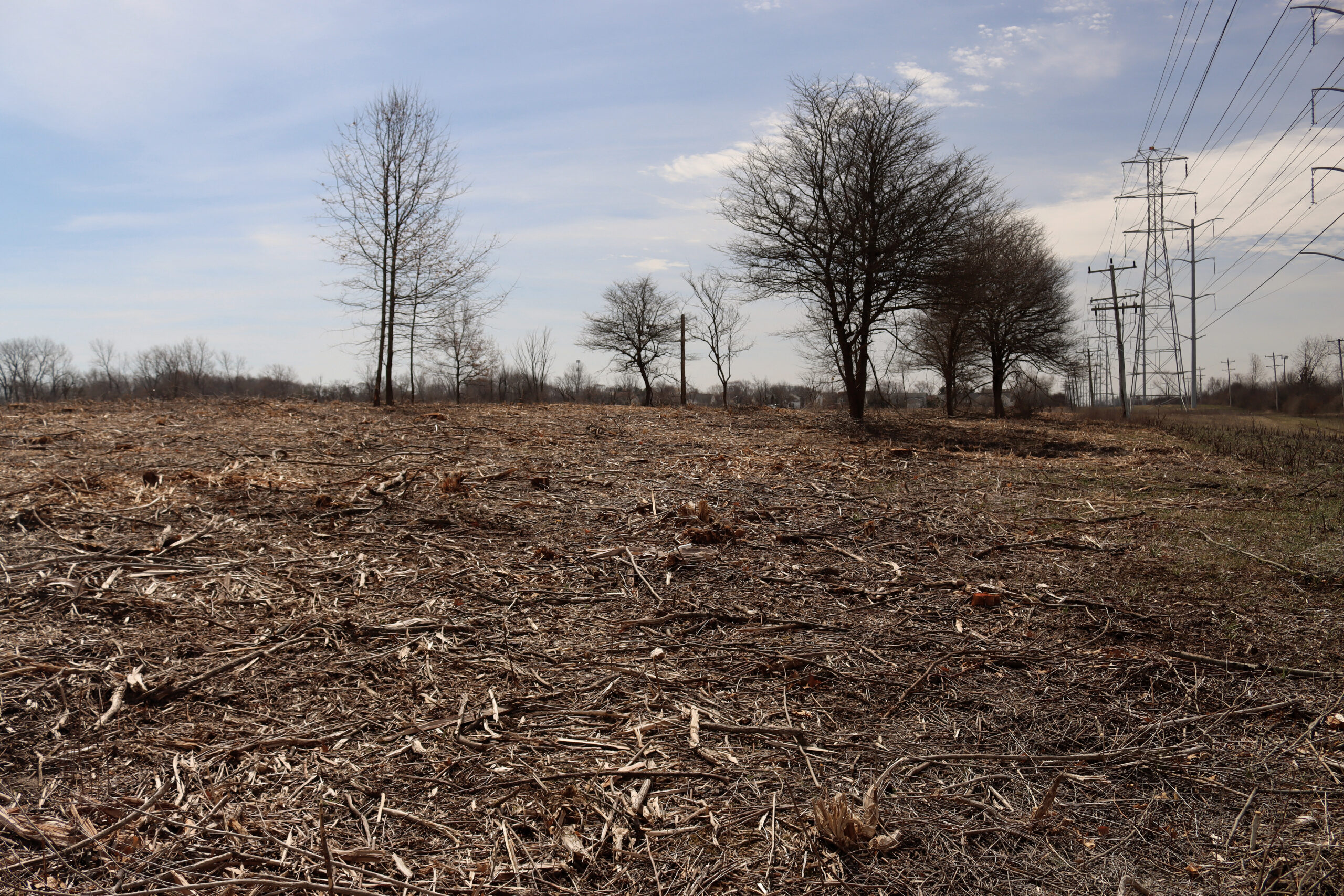 Unraveling the science of habitat restoration